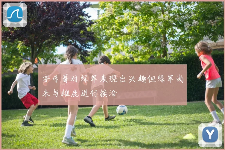 字母哥对绿军表现出兴趣但绿军尚未与雄鹿进行接洽
