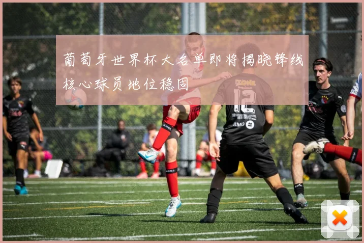 葡萄牙世界杯大名单即将揭晓锋线核心球员地位稳固